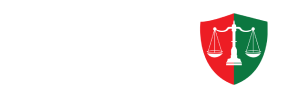 ملاحقة الطابور الخامس