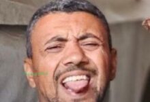 محمد الدرباشي حسام الأسطل