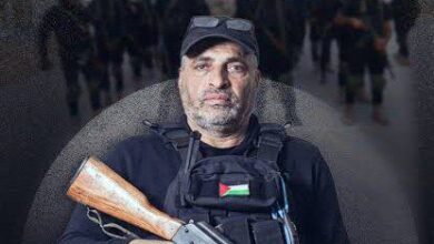 شوقي أبو نصيرة