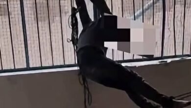 قصي عصفور يعذب مواطن