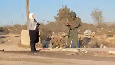 ليلى غنام
