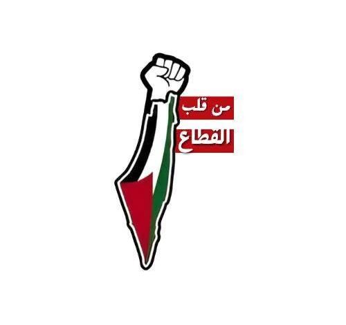 من قلب القطاع (2)